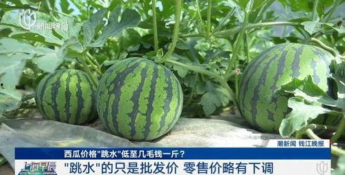 热门大瓜top10,揭秘娱乐圈风云变幻