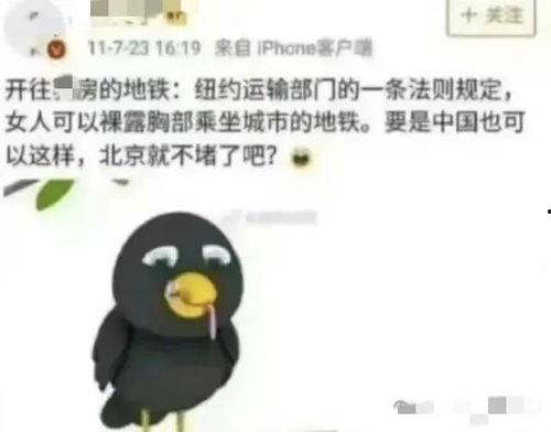 吃瓜炸裂聊天记录视频,揭秘视频背后的惊人真相